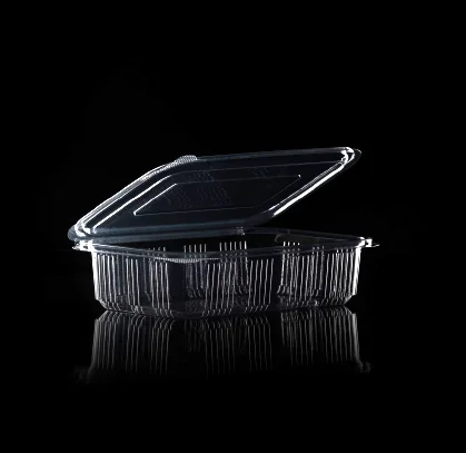 Sızdırmaz gıda kabı, Sızdırmaz pet kabı, Dayanıklı ve sızdırmaz gıda saklama kabı, Hava geçirmez ve sızdırmaz kap,Leak-proof food container, Leak-proof PET container, Durable and leak-proof storage container, Airtight and leak-proof container